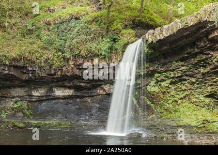 Sgwd Gwladus (Lady Falls) Pyrddin sur River, près de Pontneddfechan, parc national de Brecon Beacons, dans le sud du Pays de Galles, Royaume-Uni Banque D'Images