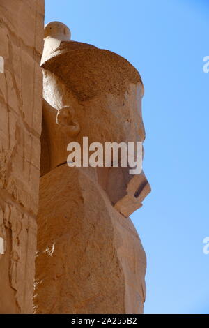 Statue d'un pharaon au complexe du temple de Karnak, à Louxor, Égypte. La construction du complexe a commencé pendant le règne de Sésostris I dans l'Empire du Milieu et a continué dans la période ptolémaïque, bien que la plupart des bâtiments datent du Nouvel Empire. La zone autour de Karnak était le principal lieu de culte de la xviiie dynastie triade thébaine avec le dieu Amon à sa tête. Il fait partie de la ville monumentale de Thèbes. Banque D'Images