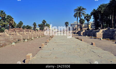 Doublure de statues Ram une entrée de l'Egypte antique Temple de Louxor à Louxor, complexe Banque D'Images