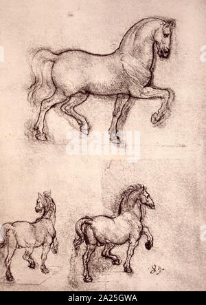 Esquisse pour le cheval en bronze du monument Sforza par Leonardo da Vinci. Leonardo di ser Piero da Vinci (1452-1519) un grand penseur italien de la Renaissance. Banque D'Images