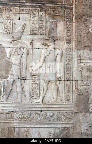 Temple de Kom Ombo, Haute Egypte. Construite durant la dynastie ptolémaïque, 180-47 av. Certains ajouts ont été réalisés durant la période romaine. Le bâtiment est unique parce que sa conception "double" signifie qu'il existe des tribunaux, des halls, des sanctuaires et des chambres double pour deux groupes de dieux. La moitié sud du temple était dédié à la dieu crocodile Sobek. la partie nord du temple était dédié à le dieu faucon Haroeris ('Horus l'Aîné'), 'le long avec Tasenetnofret, une forme spéciale d'Hathor Banque D'Images