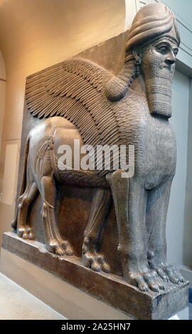 Statue de lion ailé à la tête humaine qui garde l'entrée de la North-West Palais de Nimrud. 865-860 avant J.-C., l'assyrien, l'Iraq Banque D'Images