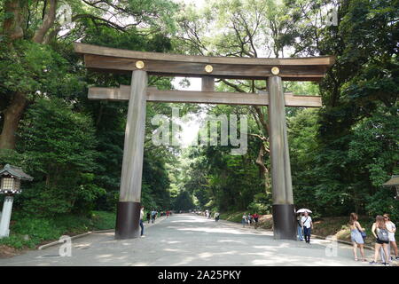 Tori, s'approchant de la porte ou le sanctuaire de Meiji, à Shibuya, Tokyo. Ce sanctuaire Shinto dédié à l'esprits divinisés de l'empereur Meiji et de son épouse, l'Impératrice Shoken. Le culte ne contient pas la tombe de l'empereur, qui est situé à Fushimi-momoyama, au sud de Kyoto. Banque D'Images