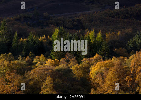 Braemar ; vue sur l'étang de canard ; Ecosse ; UK Banque D'Images