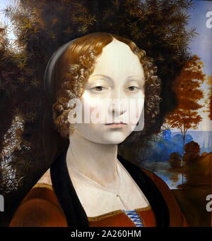 Portrait de Ginevra Benci, 1476, huile et tempera. Par Leonardo da Vinci (1452-1519), l'artiste italien et polymathe Banque D'Images