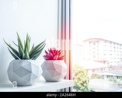 Pot en béton. Rouge et vert les plantes succulentes en béton géométrique moderne sur les semoirs plateau en bois près de la fenêtre en verre. Banque D'Images