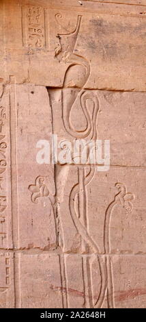 Le soulagement de le Temple de Philae située sur une île dans le réservoir du barrage d'Assouan, faible en aval du barrage d'Assouan et du lac Nasser, en Egypte. Le complexe du temple a été démantelé et déplacé à l'Île Agilkia à proximité dans le cadre de la Campagne de Nubie, projet de l'UNESCO avant la fin de 1970 le grand barrage d'Assouan. L'île temple a été construit au cours de la royaume ptolémaïque 380-362 BC. La divinité principale du temple d'Isis a été complexe Banque D'Images