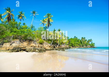 Vue panoramique lumineux de palmiers se balançant au-dessus d'une plage de l'île brésilienne tropical vide sur une île éloignée de Bahia Brésil Banque D'Images