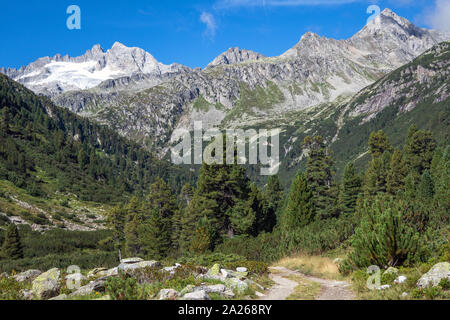 Paysage alpin de la vallée de la Rainbachtal, une vallée latérale de la Krimmler Achental. Parc national Hohe Tauern. Alpes autrichiennes. Europe. Banque D'Images