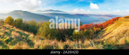 Une superbe vue panoramique du paysage dans les montagnes du matin. la lumière passe à travers la hausse du brouillard dans la vallée éloignée. temps d'automne magnifique. d'arbres sur le près de Banque D'Images