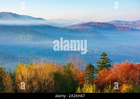 Beau matin d'automne brumeux en montagne. les collines boisées à l'automne feuillage. Le brouillard se lever au-dessus de la vallée. beau temps avec ciel bleu azur clair magique. Banque D'Images