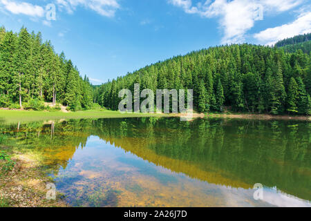 Beau paysage d'été dans les montagnes. lake parmi la forêt d'épinettes. merveilleux temps ensoleillé avec quelques nuages sur le ciel se reflétant dans les paysages. Banque D'Images