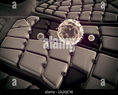 Virus pénètre dans la cellule, les maladies du foie, attaque de virus les poumons, le processus d'infecter les cellules Banque D'Images