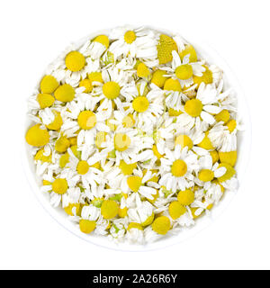 Fleurs de camomille dans un bol blanc. Des fleurs de camomille, Matricaria chamomilla, utilisé pour des infusions et en médecine traditionnelle. Banque D'Images