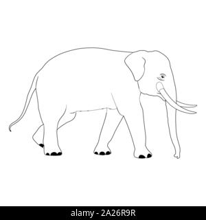 Balades en Asie de l'éléphant, les graphiques vectoriels disign contours illustration isolé sur fond blanc Illustration de Vecteur