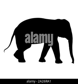 L'éléphant d'Asie silhouette noire marche, disign graphiques contour vector illustration isolé sur fond blanc Illustration de Vecteur