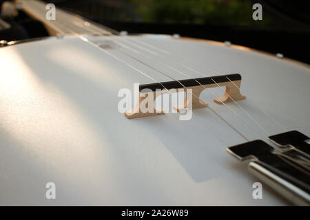 Cordes banjo et bridge close-up dans la soirée la lumière naturelle Banque D'Images