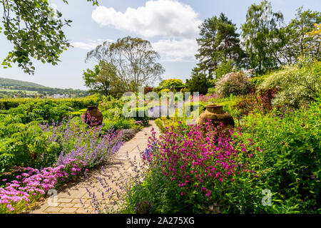 Les lits de la Roseraie sont remplis d'une variété de plantes vivaces et arbustes dans les jardins, près de la ferme de terriers Axminster, Devon, England, UK Banque D'Images