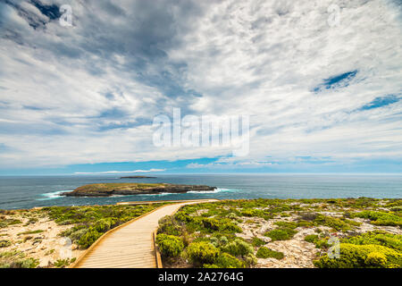 Fliders Chase Park vue vers l'Admirals Arch, Kangaroo Island, Australie du Sud Banque D'Images