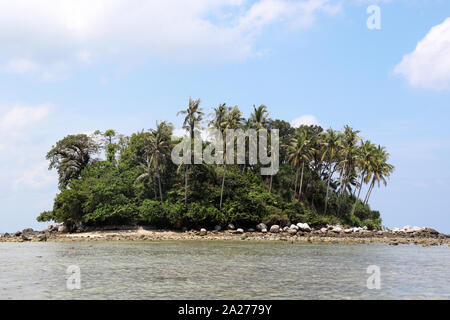 L'île tropical avec des cocotiers dans un océan, vue pittoresque de l'eau calme. Paradis marin avec ciel bleu et nuages blancs Banque D'Images