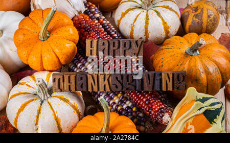 Joyeux Thanksgiving texte avec mini potirons et indian corn Background Banque D'Images