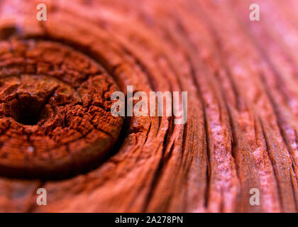 Gros plan du bois de chêne rouge Banque D'Images