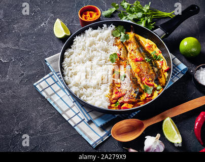 Close-up de poisson au curry jaune, curry Panang avec Saba maquereau grillé poisson servi avec riz long grain cuit à la vapeur dans une poêle sur une table en béton, v Banque D'Images