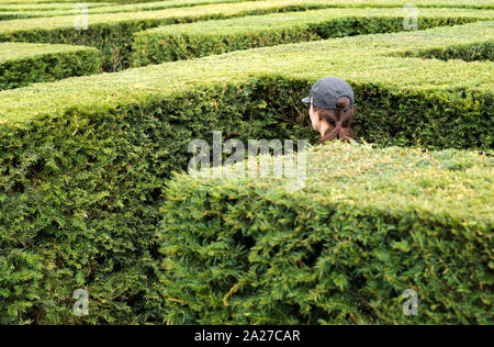 Une femme portant une casquette de baseball promenades autour de perdu dans un labyrinthe géant fait de haies de buis Banque D'Images