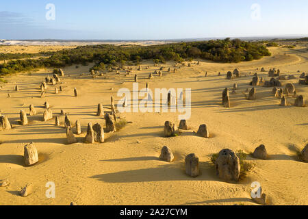 Au Désert des Pinnacles le Parc National de Nambung en Australie de l'Ouest Banque D'Images