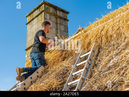 Une thatcher travaillant sur le toit d'une maison de village à réparer et à renouveler le chaume et le remplacement de la crête Banque D'Images