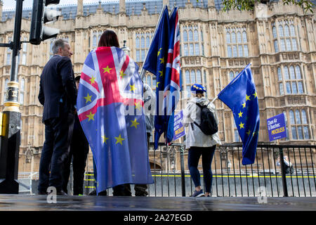 Londres, Angleterre, Royaume-Uni, le 1er octobre 2019. Anti-Brexit partisans de protestation devant les Chambres du Parlement. Credit : Mark Hawkins/Alamy Live News Banque D'Images