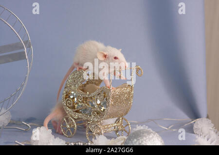 Une souris blanche se trouve dans un petit jouet chariot. Nouvelle année rat close up. Rongeurs décoratif avec décorations. Banque D'Images