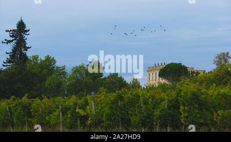 Château dans les vignobles, entre deux mers, Gironde Banque D'Images