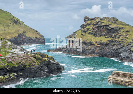 Warren point à l'entrée de Boscastle Harbour en Cornouailles du Nord, Angleterre, Royaume-Uni. Banque D'Images