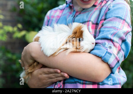 Close Up of Girl Holding Animal Cochon en plein air dans le jardin Banque D'Images