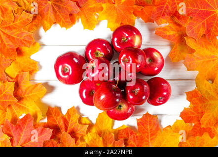 Feuilles d'érable jaune et rouge des pommes juteuses se trouvent sur un fond de bois blanc Banque D'Images