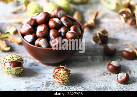 Châtaignes. Buckeyes. Humeur d'automne. Les feuilles d'un marronnier. Banque D'Images