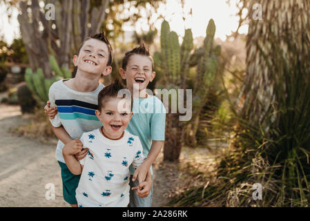 Portrait de trois jeunes frères rire dans sunny jardin de cactus Banque D'Images