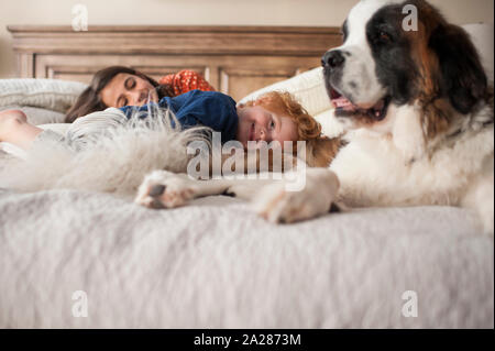 Tout en sourire nos enfants portant sur le lit avec un grand chien à la maison Banque D'Images