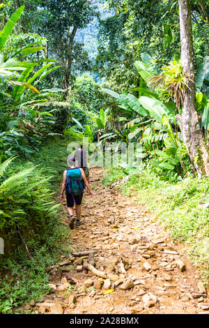 Les randonneurs à pied sur un sentier en direction de Ciudad Perdida en Colombie. Banque D'Images