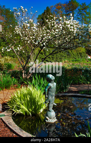 Jardin Botanique d'Atlanta, Atlanta, Géorgie, Banque D'Images