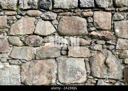 Vieux Mur de pierre dans un champ écossais Banque D'Images