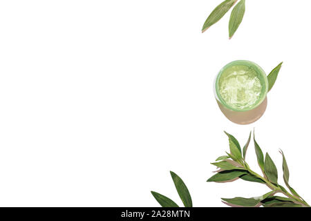 Produit de beauté naturel composition du châssis laïcs télévision. Pot de gel d'aloès près de feuilles et branches vertes sur fond blanc avec copie espace, vue du dessus. Banque D'Images