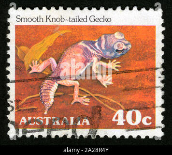 D'impression de timbres en Australie,bouton Lisse gecko à queue Banque D'Images