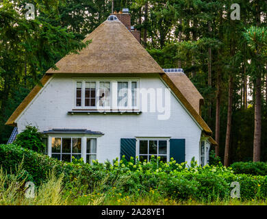 Maison typique hollandaise dans une forêt avec un toit de chaume classique, intérieur rural dans les Pays-Bas, l'architecture classique Banque D'Images