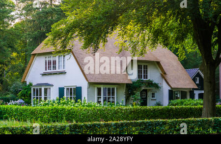 Chambre De luxe classique dans une forêt typiquement néerlandais, la maison avec un toit de chaume, l'architecture à la campagne Banque D'Images