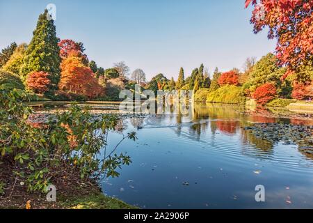 Les arbres d'automne par un lac Banque D'Images