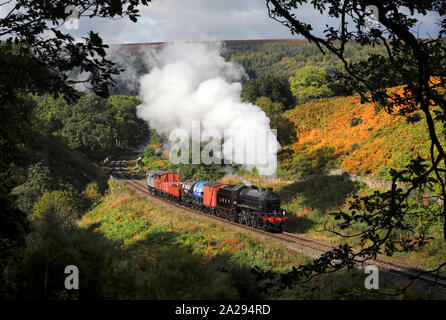 B1 1264 chefs passé Thomason Foss sur la NYMR. Banque D'Images