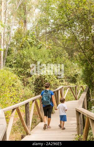 Une femme et un enfant de la randonnée, marche à pied le long d'une passerelle en bois qui traverse une forêt. Concepts de la vie de famille et vie saine. Banque D'Images