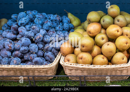 Les prunes et les poires bleu sur une étagère d'un réfrigérateur dans un supermarché. Banque D'Images